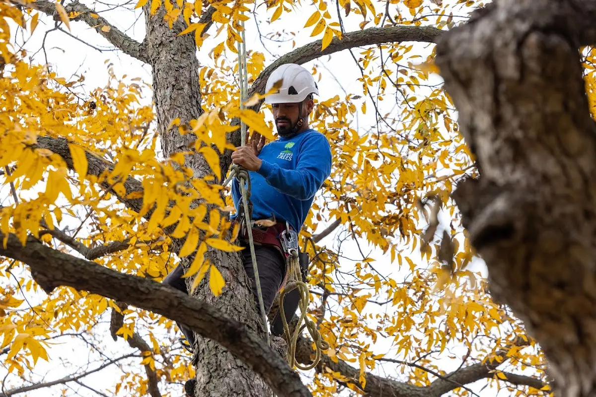 Skilled Storm Damage Cleanup crew working in Valley City